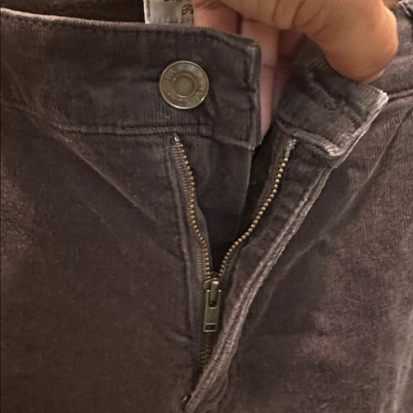 Charter Club Women Dark Brown Soft Corduroy Pants - Picture 6 of 8